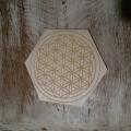 plaque de recharge bois hexagonale