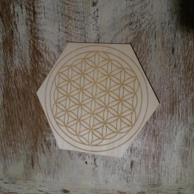 plaque de recharge bois hexagonale
