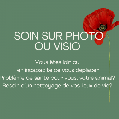 Ceci n est pas un bon il vous sera envoye apres paiement 6 