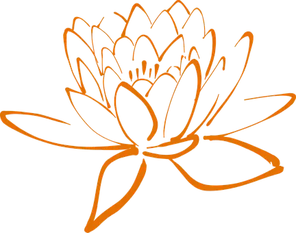 Lotus 308947 340